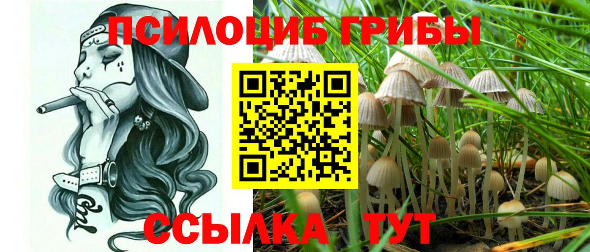 Псилоцибиновые грибы мицелий Новороссийск