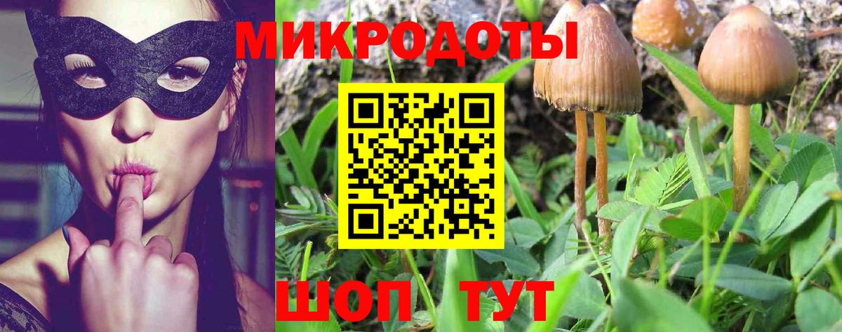Новороссийск  цены наркотик  Вход с VPN  Галлюциногенные грибы Magic Shrooms 